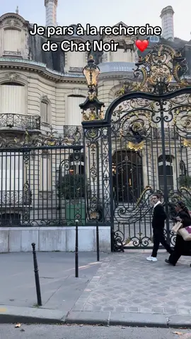 #miraculous #chatnoir 