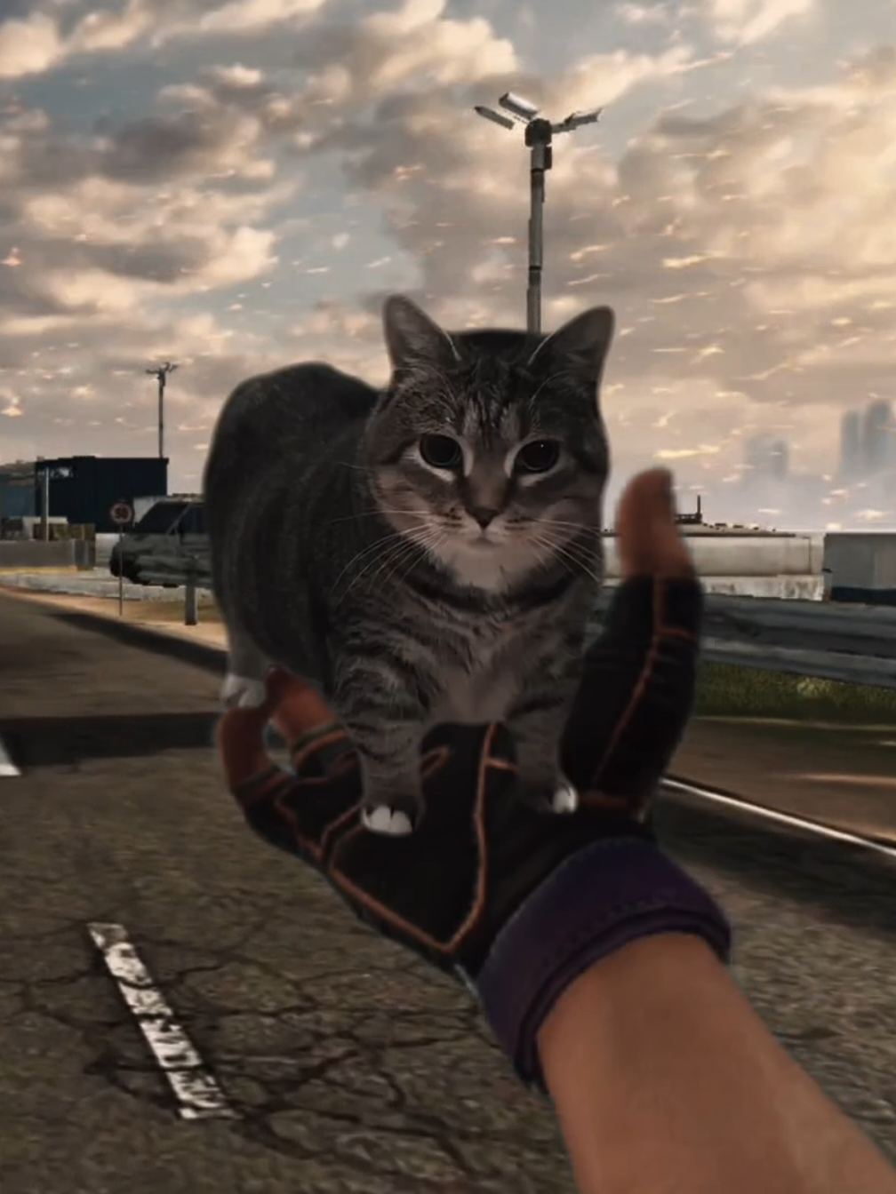 Están listos para lo que viene? que si que si es un edit es solo una ilustración#itzdeadpool #bloodstrike #bloodstrikeclips #projectbloodstrike #bloodstrikepartner #bloodstrikelatam #calidad #cat #catdance #uiia 