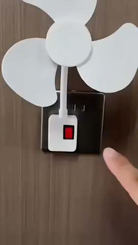 Loại phích cắm 2 chân nha