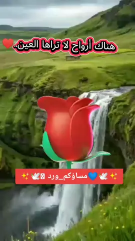 #المغرب🇲🇦🇲🇦 #دكالي_وافتخ💥💯🇲🇦💘 #‏هناك أرواح ..      لا تراها العين..⁦⁦⁦♥️⁩⁦♥️⁩    ولكن نشعر ..⁦      بهم ف القلب..⁦⁦⁦⁦🌹🌹          فسلامآ لمن..             تبعدهم المسافات..               وهم في قلوبنا..💝💝                        اجمل الحاضرين ..🧸