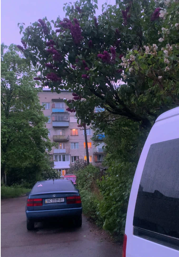 переходите на тгк🫶🏿