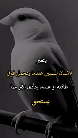 #عبارات #افضل_عبارة_لها_تثييت #عباراتكم_الفخمه🦋🖤🖇 #عبارات_جميلة_وقويه😉🖤 