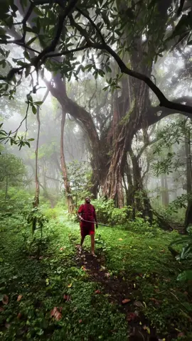 Would you follow a Maasai deep through the secret jungle in Kenya? No path. No map. Just instinct … and lions, leopards, and buffalo watching from the shadows 🤯 | 📍Chyulu Hills / Kenya 🇰🇪  | 📷 more epic adventures @giuliogroebert  | #forest #nature #travel 