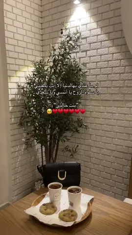 @𝑴𝑨𝑮𝑫  زوز🥹🥹🥹🥹❤️