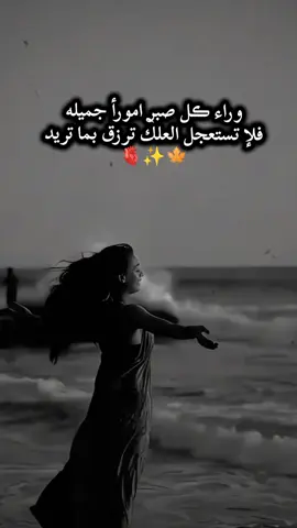 #fyp #greenscreen #capcutvelocity #🍃tiktok #خواطر_للعقول_الراقية 