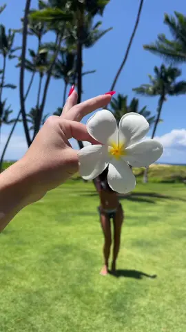 Couldn’t leave Maui without a little flower twirl  #twirl 