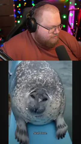 тюленчики | twitch - T2x2 #t2x2 #t2x2twitch #seal #тюлень #милота #fyp #fypage 
