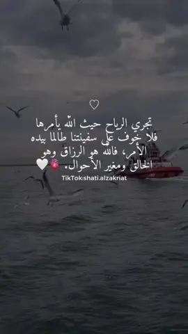 #fypシ #shatialzakriat #عبارات #خواطر #UnfoldReelsandStoryEditor #اكسبلووووورررر  