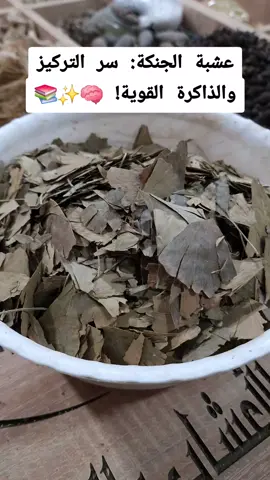 عشبة الجنكة: سر التركيز والذاكرة القوية!#ترند #السعودية #الدار_البيضاء #belgium #foryou #blowthisup #اعشاب_طبيعيه_فوائد #اعشاب_طبيعيه_فوائد #الشعب_الصيني_ماله_حل #foryoupage #fyp #fy #خلطات #عطارة_أياو_trd #friends 