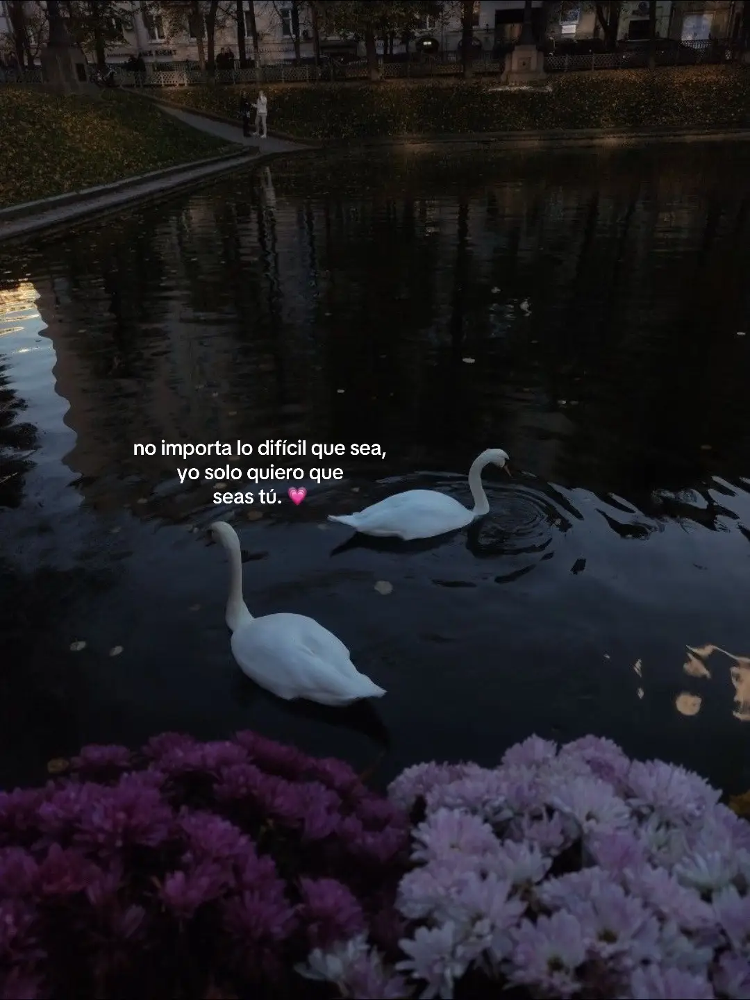 #💗 