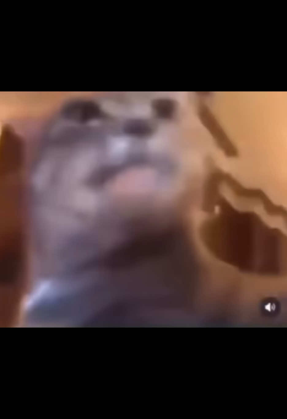 Raho slkk l9et echkro b comment 😼  #nikbrk💀 #viral_video #fyp #🇩🇿 #memes #shitposting #tweetsdz🇩🇿 #اكسبلور #algerie🇩🇿 