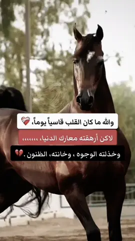#خيول_عربية_اصيلة #خيل_وخياله🐎  #مصمم_فيديوهات🎬بوهيبه🎵❤  #مجرد________ذووووووق🎶🎵💞،☹  #اقتباسات_عبارات_خواطر🖤🦋❤️ 