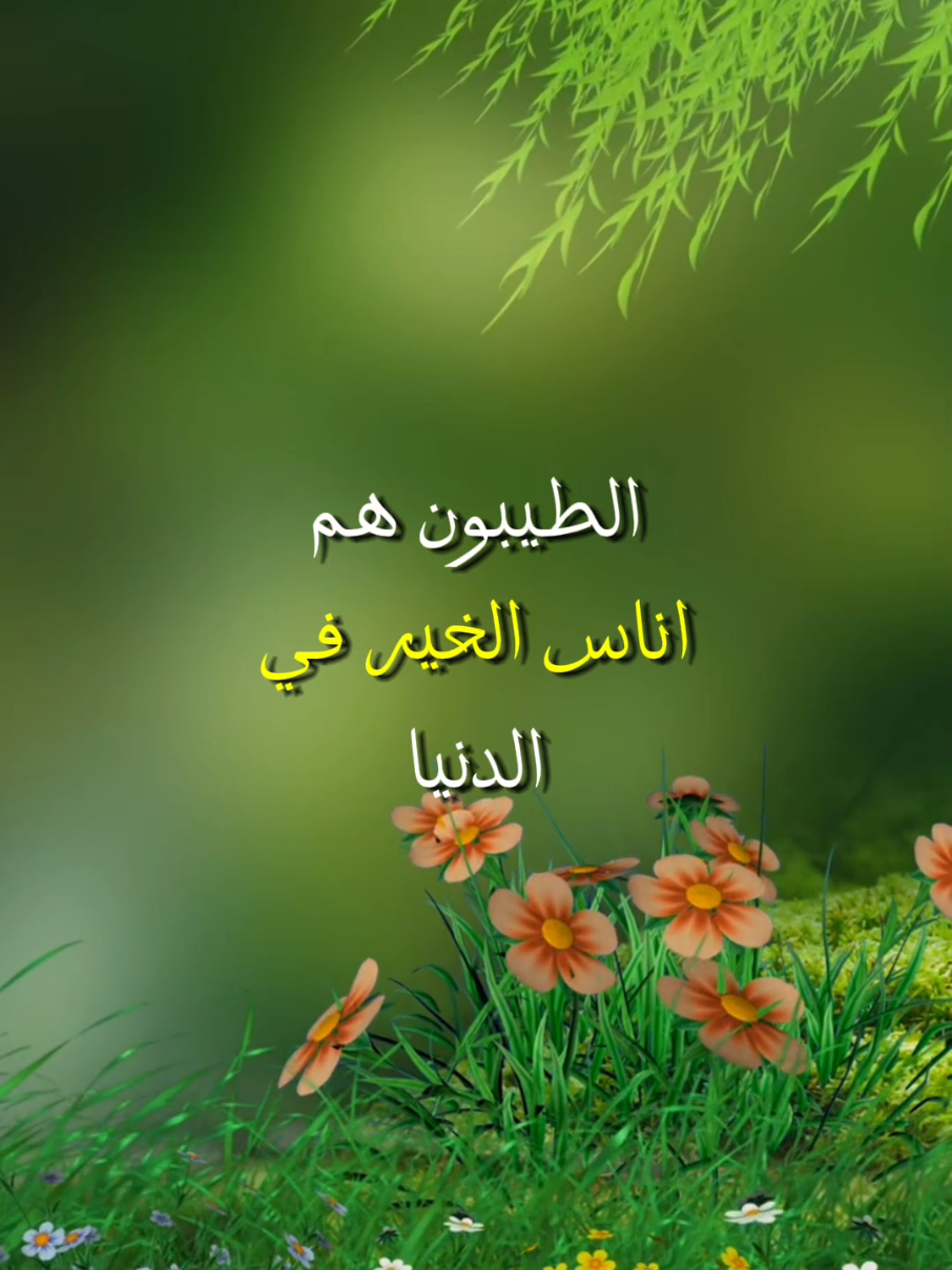 الطيبون هم أناس الخير في الدنيا #كلام_من_ذهب #خواطر #حكمة #عبارات #حكم #جبر_الخواطر #حكم_وعبر_وامثل_من_دهب #تطوير_الذات #تحفيزات_إيجابية 