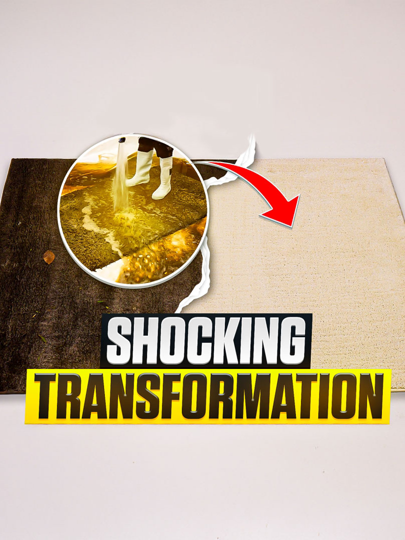 You Will NEVER Guess The Final Colour! Satisfying ASMR Carpet Cleaning. #asmr #carpetcleaning #satisfying #oddlysatisfying #restoration