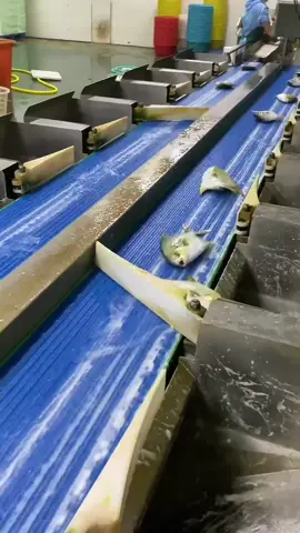 #satisfying #machines #in #action