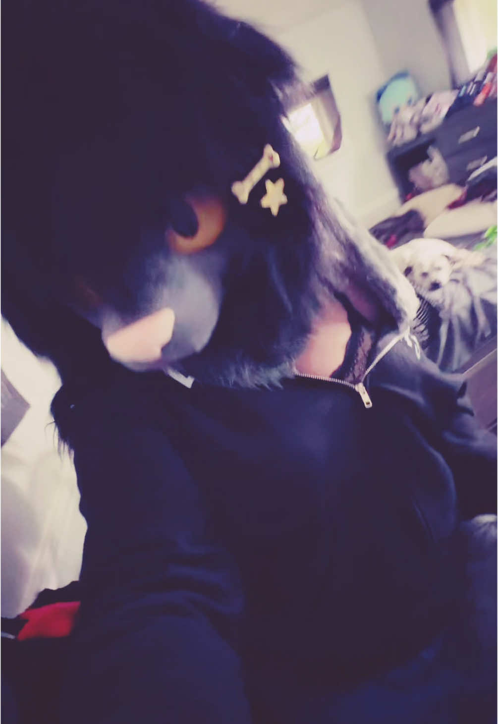 my 18th is in exactly a week 😙 #fursona #furry #furryfandom #fyp #furrytiktok #fursuit #fursuiter #kemonofursuit #fursuiting #fursuitersoftiktok #kemonofurry