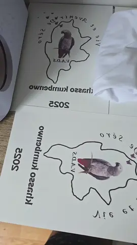 Des t-shirts personnalisés pour le grand événement de @🇲🇱Vie et Avenir de Séro 🇨🇵 #tiktokmali🇲🇱223 #tiktokfrance🇨🇵