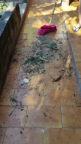 ASMR varrendo🏡💖 #donadecasa #rotinadiaria #limpezadacasa #limpezasatisfatoria #asmrcleaning #asmrvideo #asmrlimpeza 