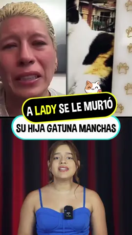 Manchas, la gata heroína de Lady Tabares, partió a los 19 años