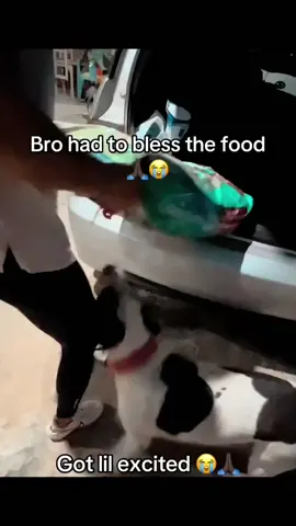 #animalsoftiktok #meme #funny #foryoupage #animalsfunny #PetsOfTikTok 