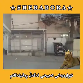 #fyp #sheraboram #comedy 