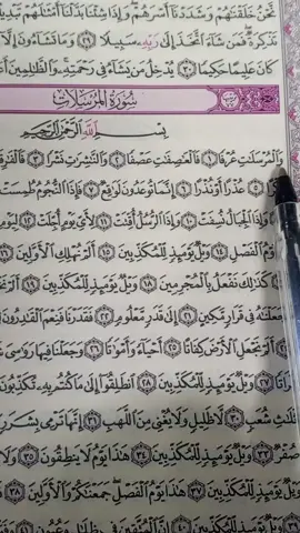 #islamic_video #catoftiktok 