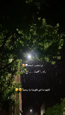 #مطر #ربيع #fyp 
