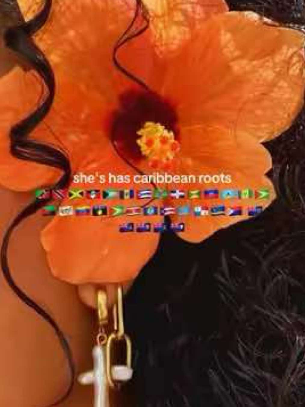 ib:@🫶 #caribbeantiktok #caribbean #culture #aesthetic #moodboard #pinterest #xybca #fyp #caribbeantiktokeurs🇭🇹🇬🇾🇹🇹🇸🇷🇯🇲 