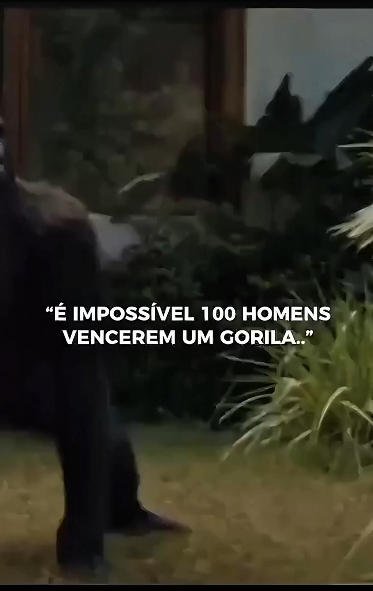 Amém? #fyp #motivacional #reflexão #trechos #conselho #motivation #poblema #foco 