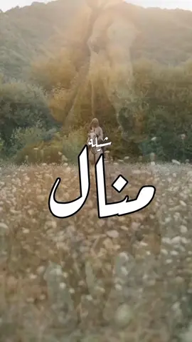 افخم شيلة باسم منال 2025 - شيلة مدح باسم منال اداء بندر الذرفي  #افخم #شيلة #باسم #منال #شيلة #مدح #منال #2025 