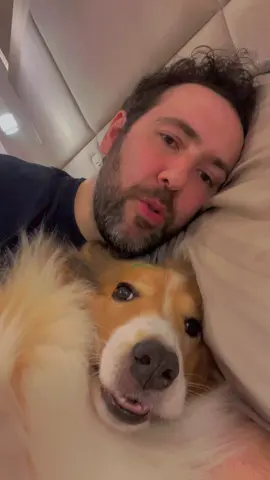 Existe mais manhosa? 🦊❤️😂 #creatorsearchinsights #DoguinhosDoTikTok #CachorrosNoTikTok #DogTrend #VídeosDeCachorros #cachorrosfofos #dogsoftiktok #cachorro #CachorrosFofinhos #cãesfofos #AmoMeuCachorro #MeuCachorro #CachorrinhosFofos #AnimaisDoTikTok #dog #PetsEngraçados #CachorroPreguiçoso #CãesDoTikTok #CachorrosEngraçados #dogs #lurdinha #dogs #Love #ovelheirogaucho #viral #brasil #pet #pets #foryou #fy