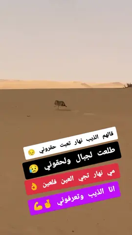 #foryourpage #الشعب_الصيني_ماله_حل😂😂 #CapCut #fypシ゚viral🖤tiktok  💣✅👌