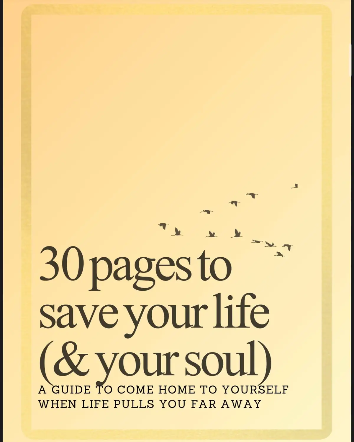 a peace offering during life's chaos #ebook #digitalproducts 