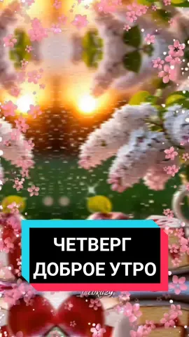 #доброеутро #новинки #свежие #утро #четверг 