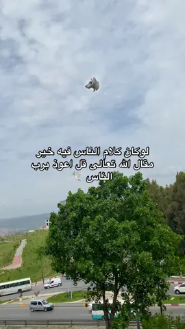 #salah❄️❤️‍ 