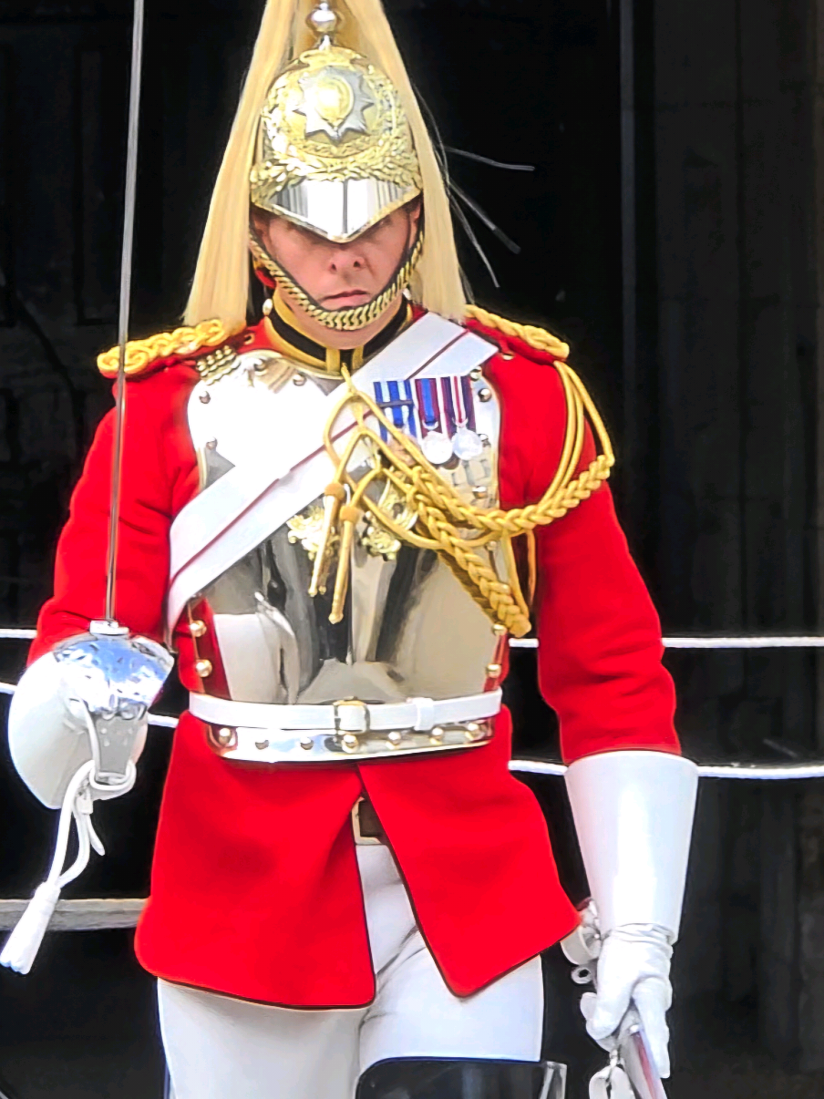 The Majestic King's Guard Today #horseguards #kingsguard 