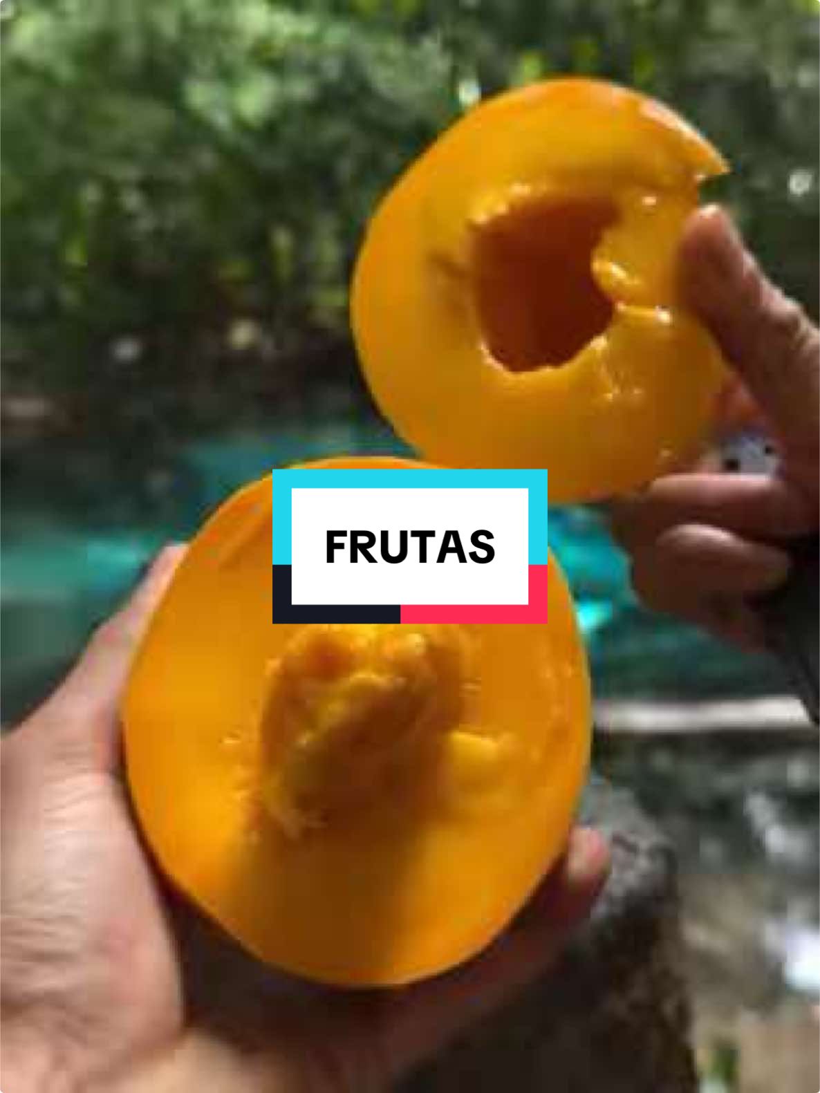 🥝 ¿Sabías esto sobre las frutas? Cada fruta tiene un súper poder... ¡Aquí te lo contamos! 🍉🍇🍍 💬 ¿Desde dónde nos estás viendo? Cuéntanos en los comentarios ✋ ¿Quieres empezar a transformar tu cuerpo? Comenta la palabra “AYUDA” 📲 Síguenos en Instagram y TikTok para optimizar tu salud #nutricion #salud #consejos #alimentos #vidasana #frutas #fruta 