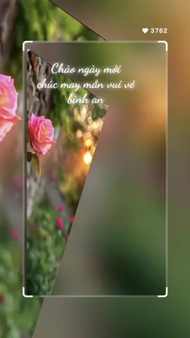 Hôm nay cũng như ngày hôm qua. Chúng ta hãy làm những gì tốt nhất có thế.  
