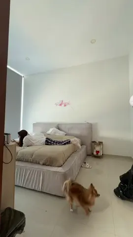 Jajajajajajajajajaja  @Fer😋 