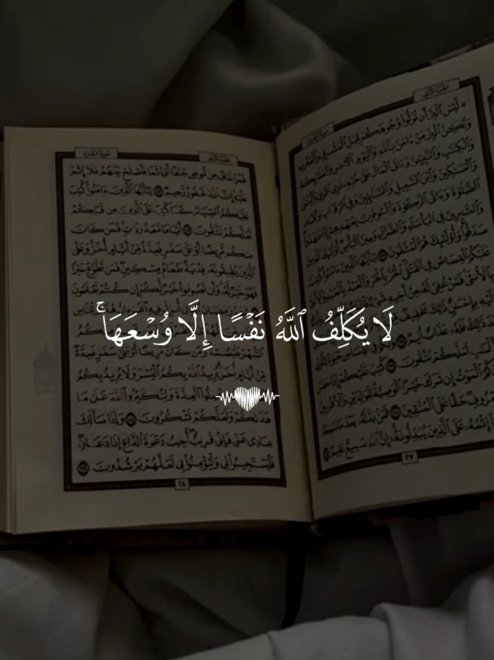 لايكلف الله نفسا إلا وسعها 🤍 #قران #احمد_العجمي #quran #القران_الكريم #تلاوة_خاشعة 