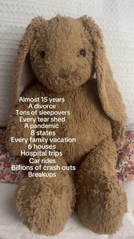 Bunny ❤️#fyp #childhoodstuffedanimal 