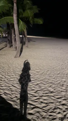 Thả Hồn Theo Gió, Thả Trôi Muộn Phiền ☺️☺️☺️# Biển Hạ Long Về Đêm😘😘