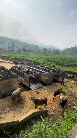 Nắng sớm thế àh 😌😍