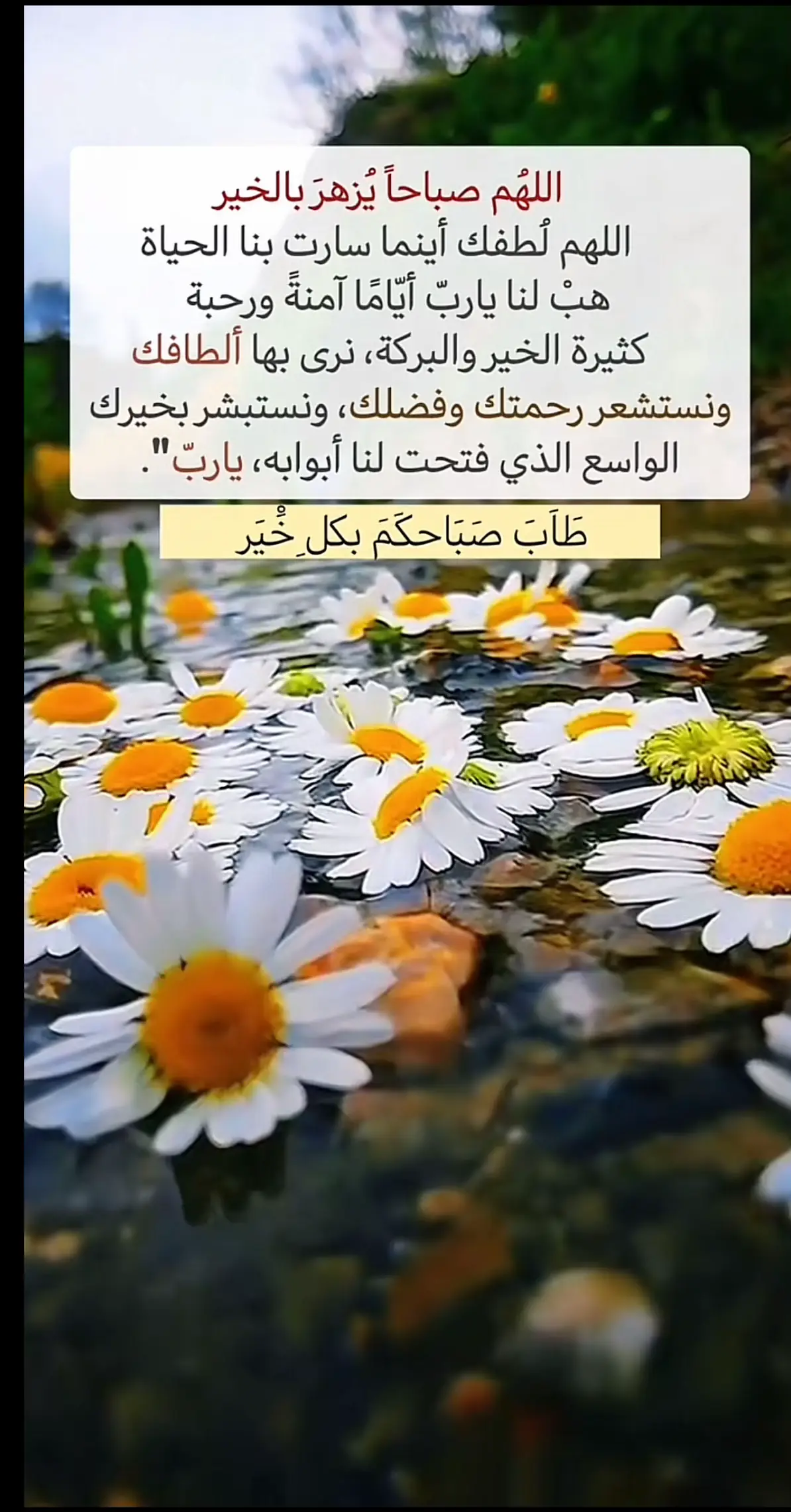 #صباح_الخير #صباحكم_معطر_بذكر_الله #اكسبلورexplore 