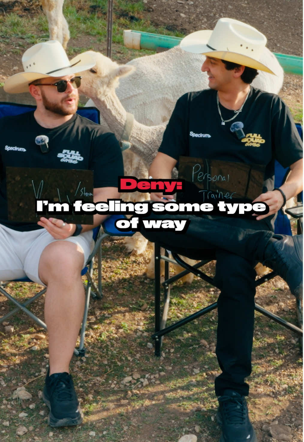 What is that alpaca doing to bro?? 💀 #challenge #fyp #whoslying #zoo #alpaca 