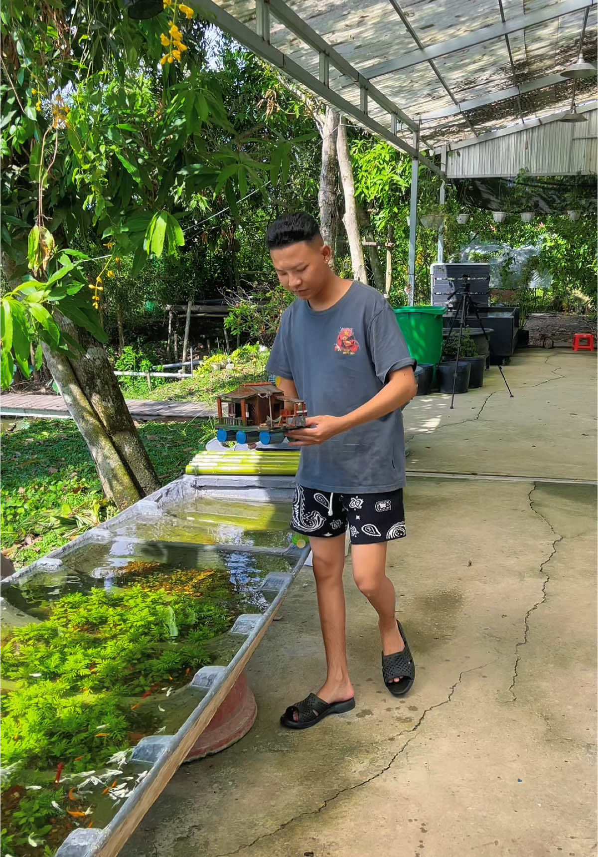 😍😍  #thuysinhngoaitroi #thuysinhdongian #nguyennhakhiem #khiemtocxoanguppy  #thetrieuguppyfarm #thetrieufarm 