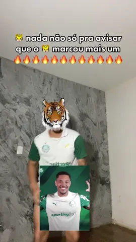#tiktokesportes #palmeiras #libertadores #fyp #futebolbrasileiro 