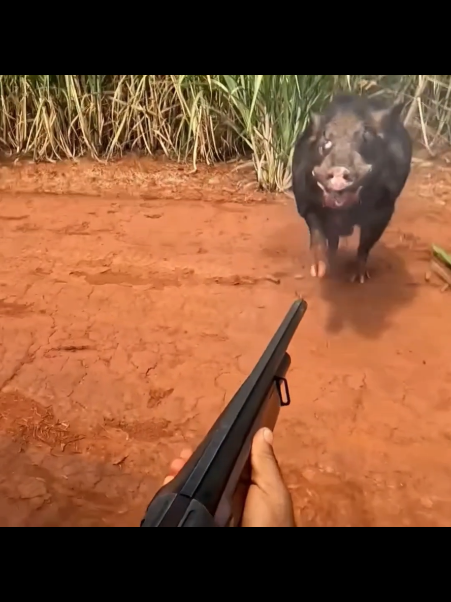 O almoço foi pra cueca...