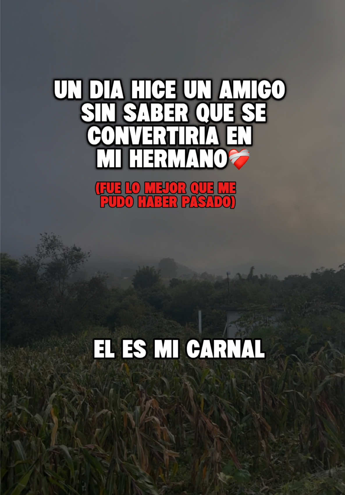 EL ES MI CARNAL!🗣️🗣️ #lostercos #paratiiiiiiiiiiiiiiiiiiiiiiiiiiiiiii #carnal #hermano 