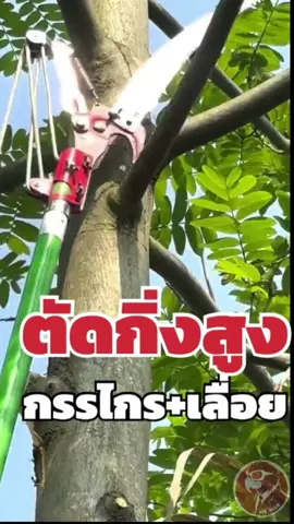 #ตัดกิ่งไม้ #ตัดกิ่ง #กรรไกรกระตุก #เลื่อยกระตุก #กรรไกรตัดกิ่งไม้สูง #ตัดกิ่งไม้สูง #เลื่อย #เลื่อยตัดกิ่งสูง #กรรไกรตัดกิ่งไม้ #แต่งกิ่งไม้ #mrp108 #tools 